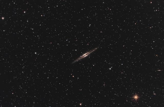 NGC 891 (Ursa Major) 