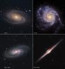 M 81, M 101, NGC 2903 y NGC 4565 
