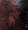 Nebulosa del Cono y cúmulo asociado NGC 2264