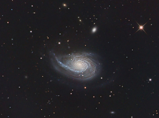 NGC 772 